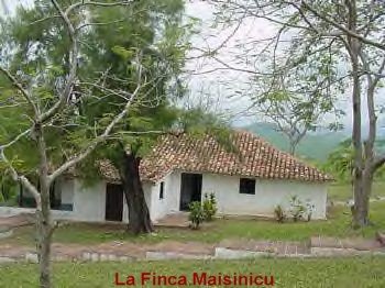 [Finca+Maisinicu.jpg]