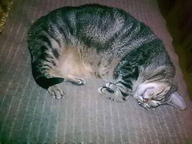 [14032010_107-797892.jpg]