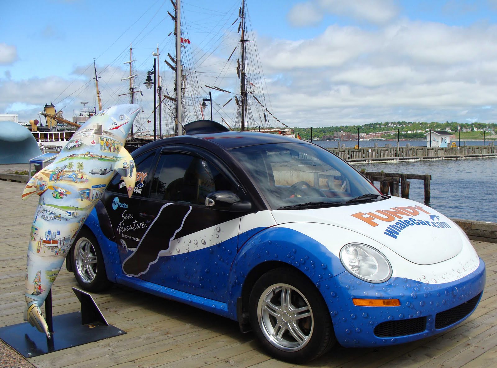 Bay of Fundy Blog: Whale car revealed!