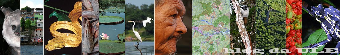 ULE, União Local de Ecólogos (Inpa): Ecologia da Amazônia
