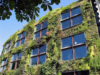mur vegetal climatisation naturelle