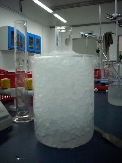 [ 私の大学生のLife ]: What Does a Science Student Do in the University