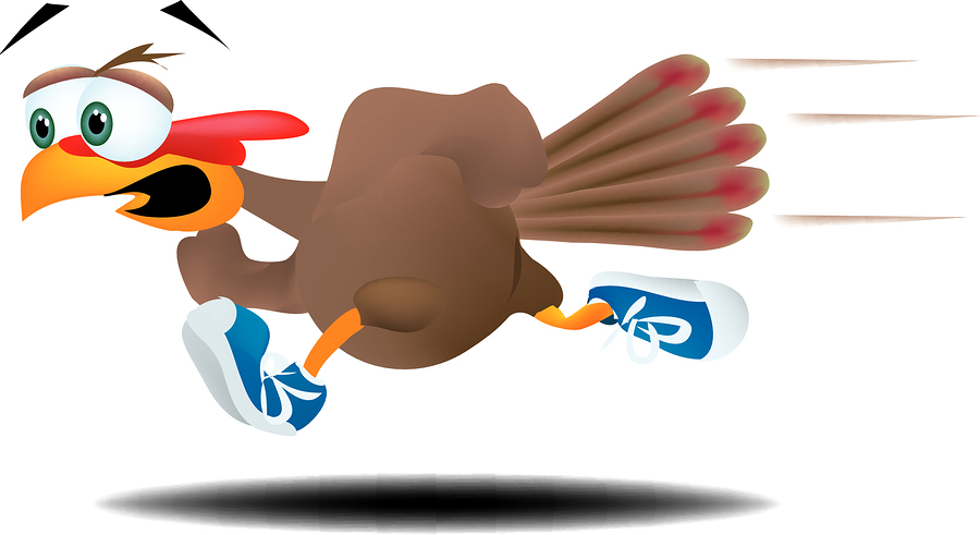 clipart running turkey - photo #16