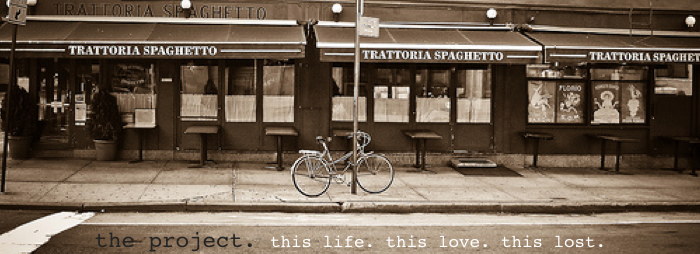 the project