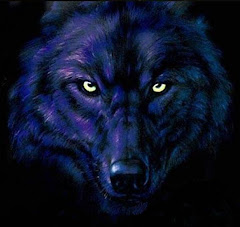 Black Wolf (Zoom)