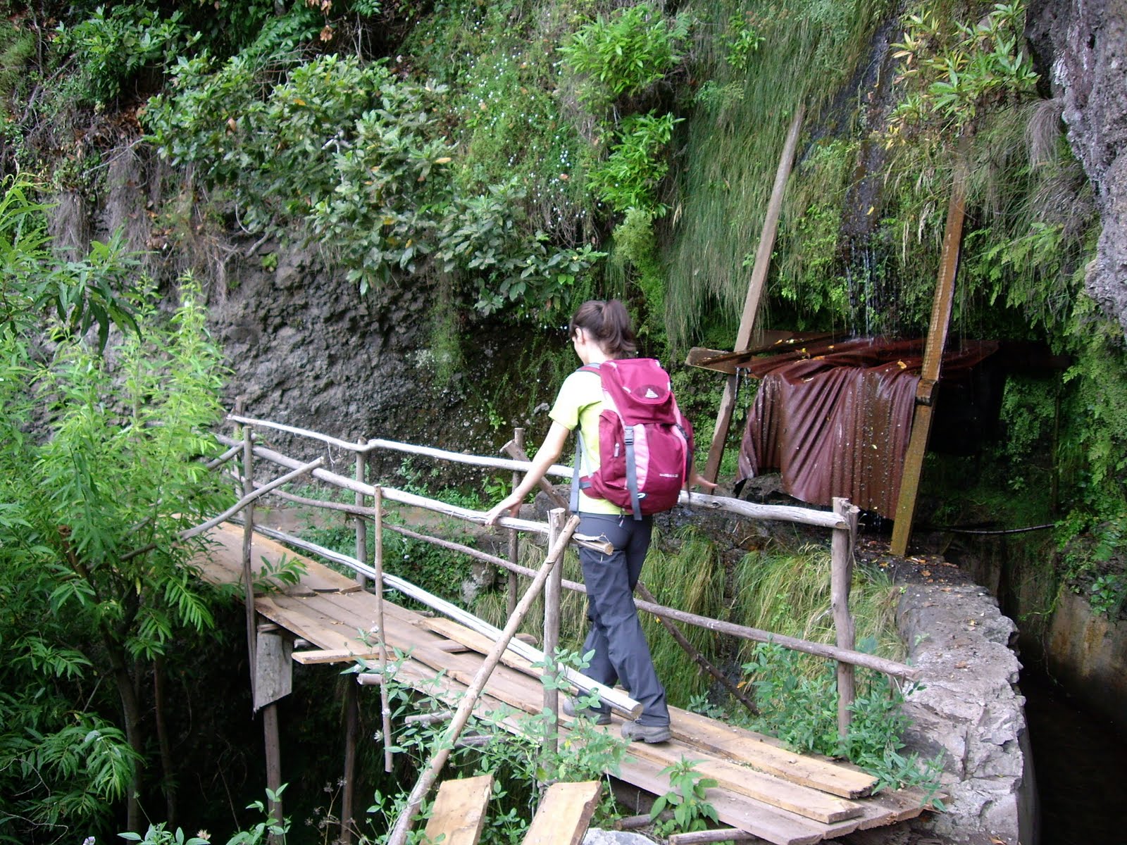 [IMGP8309.JPG]