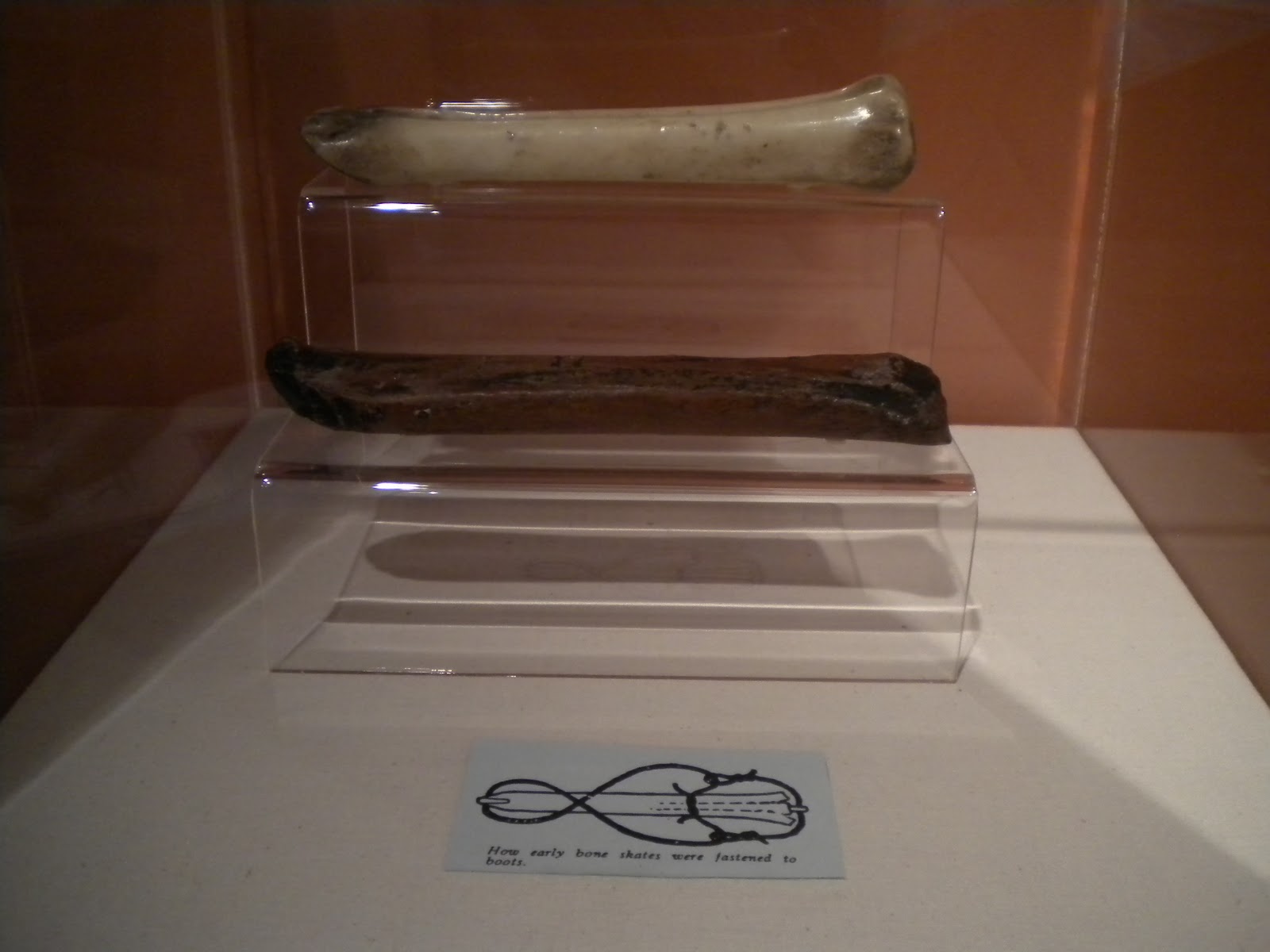 Amy Goes West World Figure Skating Museum and Hall of Fame