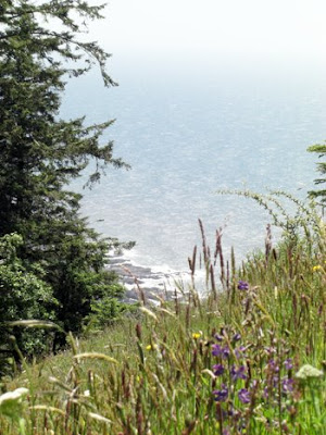 Heather Taylor, View from up on Cape Perpetua