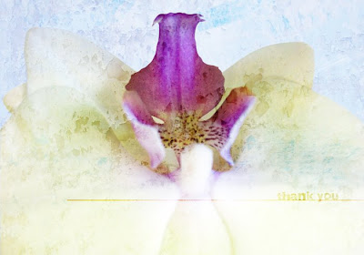 Heather Taylor, Etsy Orchid Thank You Card