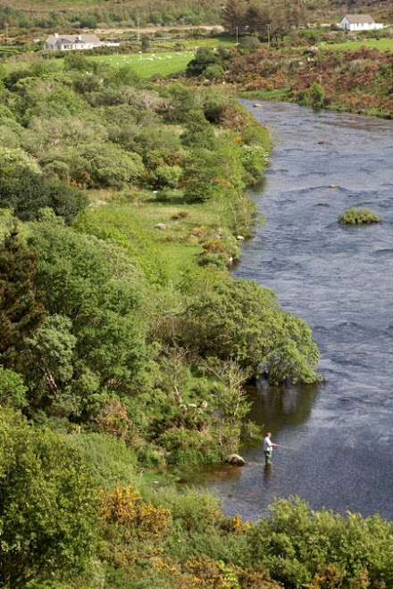 Caragh River / cours superieur