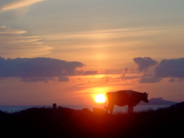 A sunset in Valentia Island