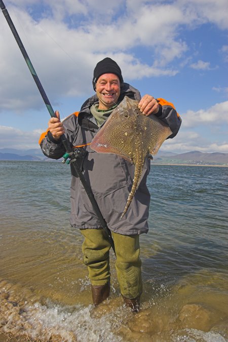 A beautiful Thornback ray from a south-west Kerry shore