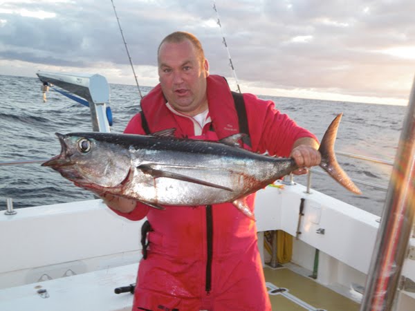 Voici le specimen albacore tuna de la semaine derniere 38lbs