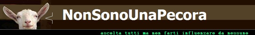 NonSonoUnaPecora