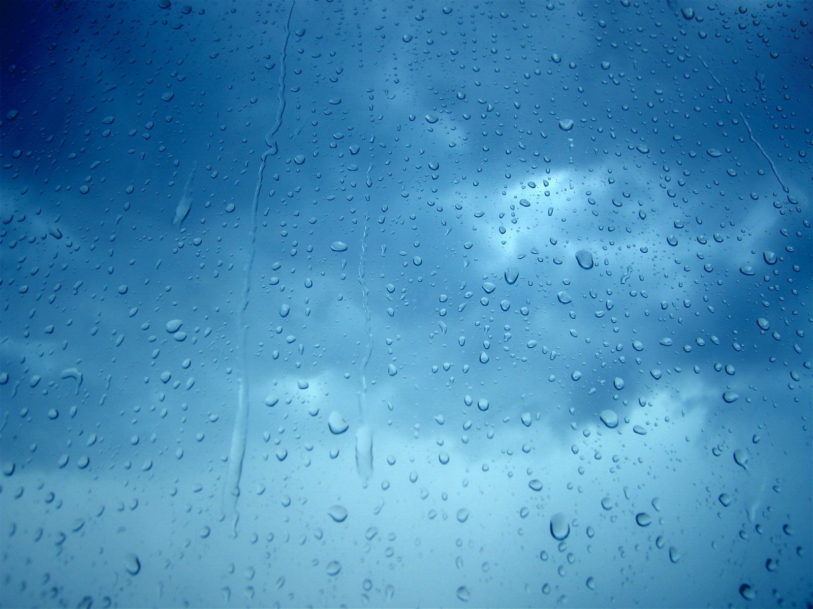 Wallpapers Box: Raindrops On Window HD Wallpapers