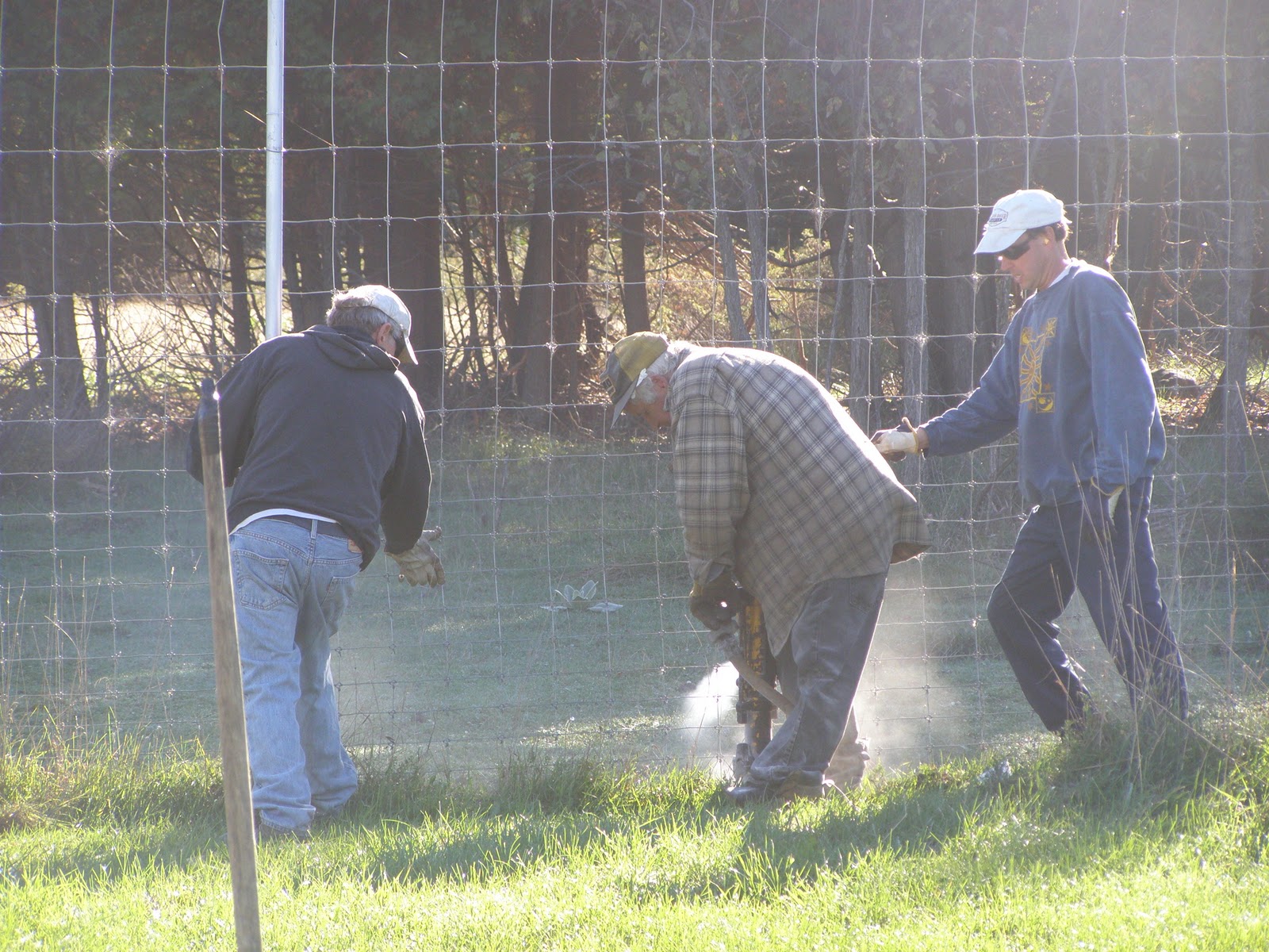 Fallow Deer Reserve New Fencing