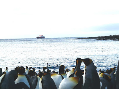 Blog Officiel Du District De Crozet Taaf Escale Du Palangrier