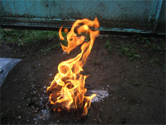 Photo : 炎の中にドラゴン出現！！