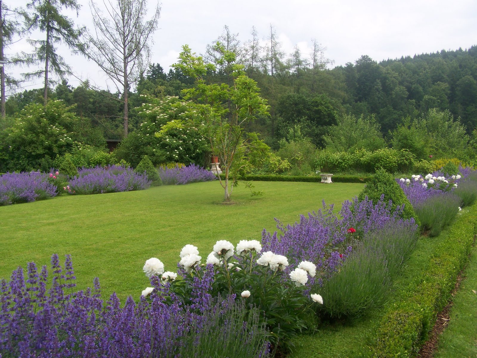 LEBENSTAGE/WALDVIERTELTAGE Juni 2010