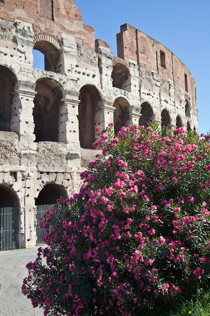 Angelyn's Photo Blog: Rome, Tuscany, Pompeii and the Amalfi Coast