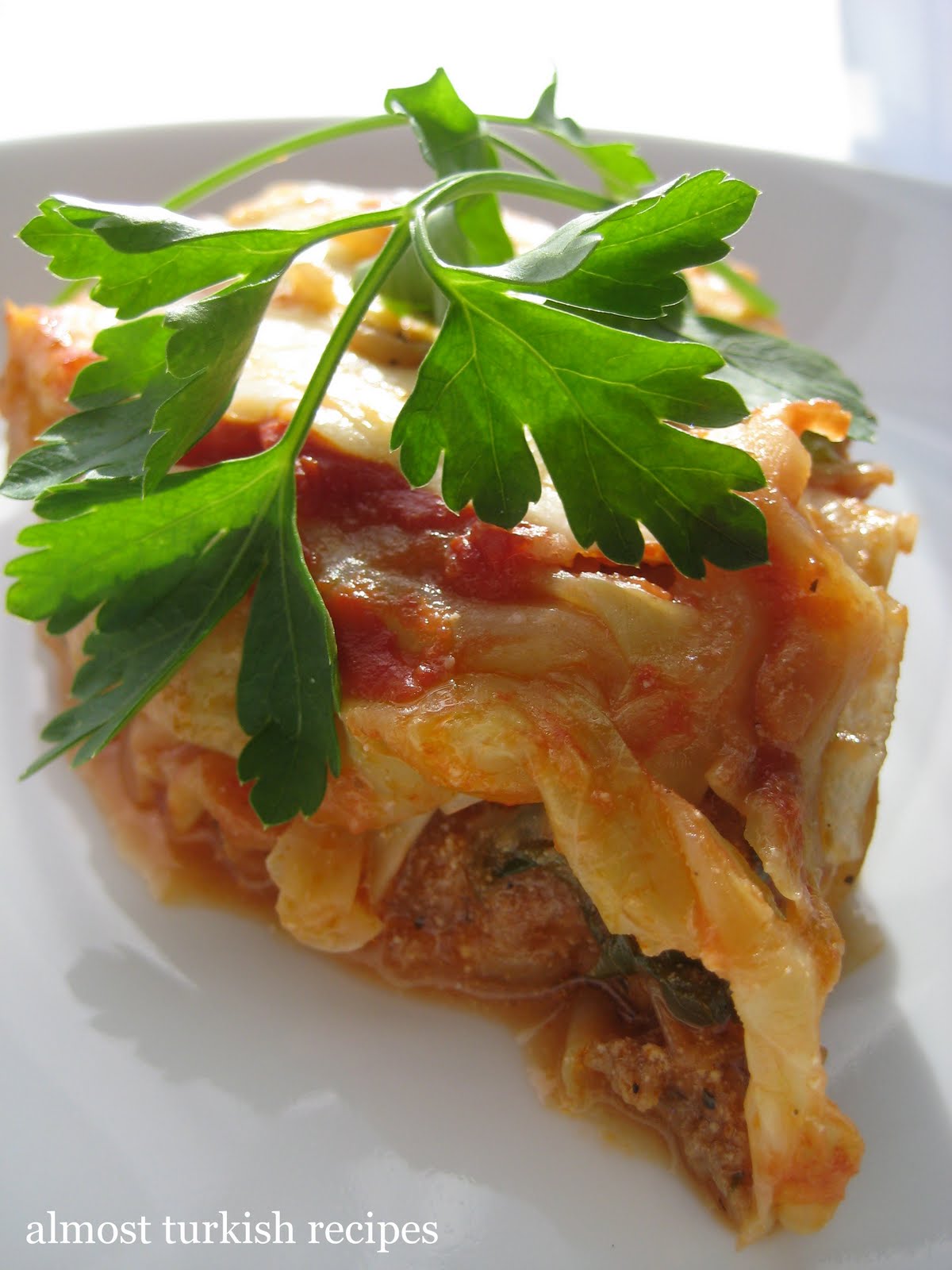 [kiymalilahana1.jpg]