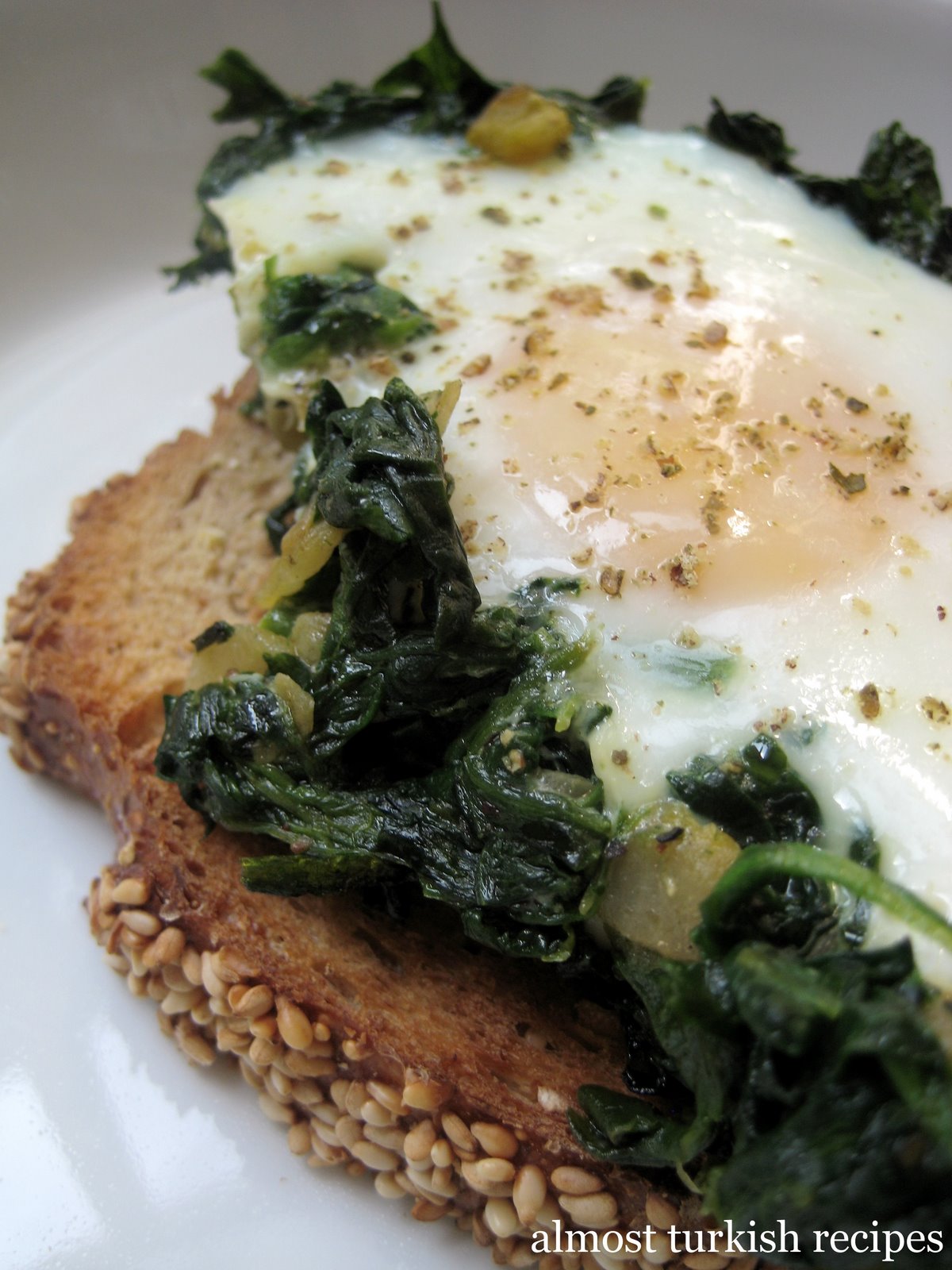 [yumurtaliispanak1.jpg]