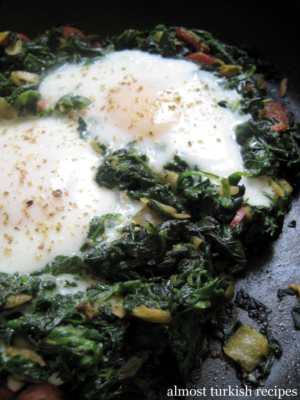 [yumurtaliispanak3.jpg]