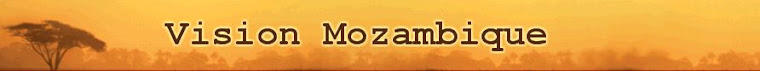 Vision Mozambique