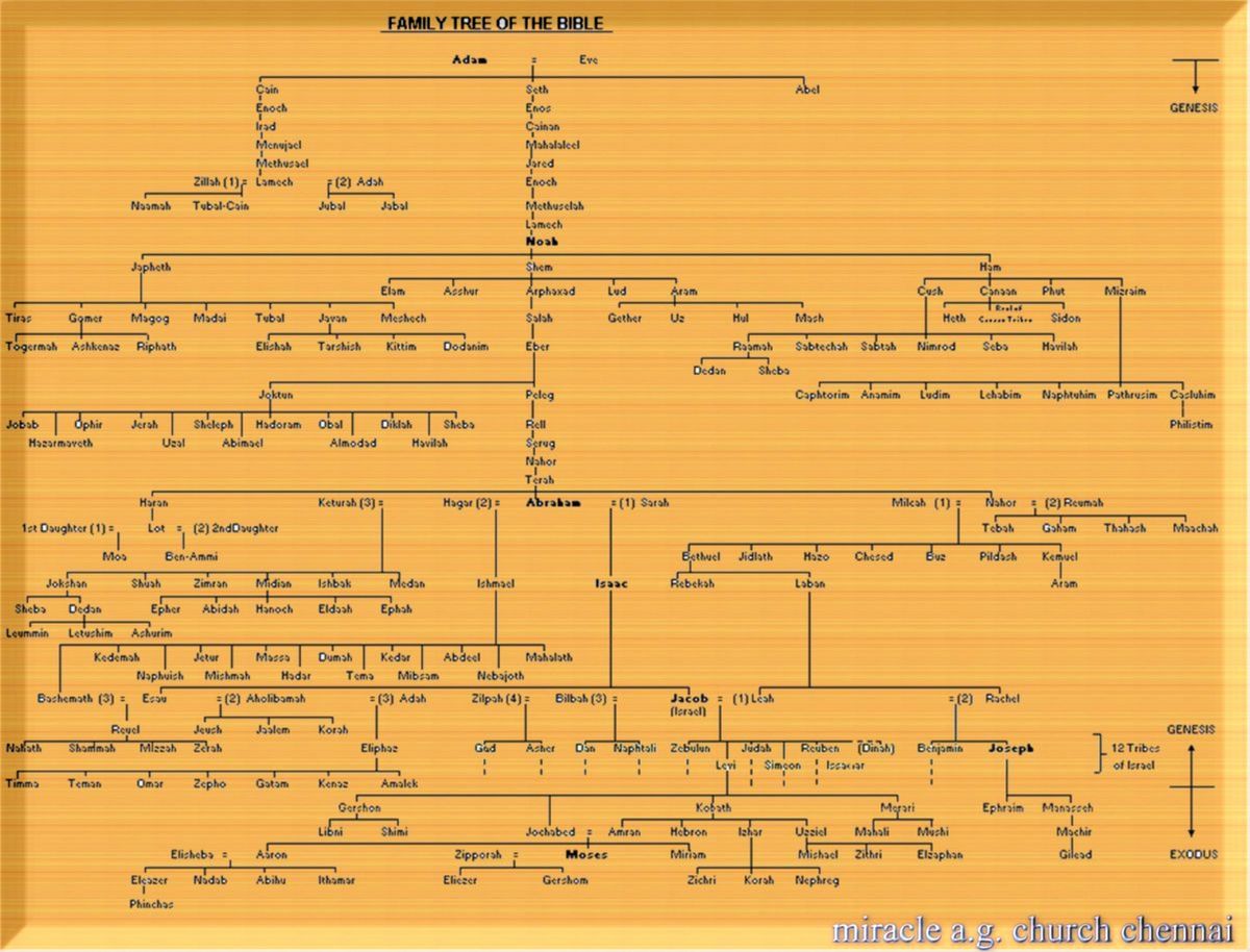 Родословная иисуса христа от адама схема