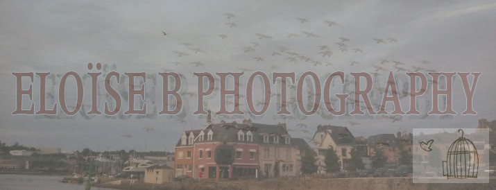 Eloïse B. photography