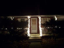 Next two photos... porch lights during Christmas...2010