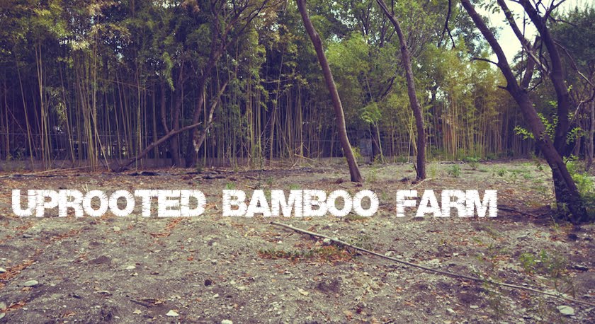 UPROOTED BAMBOO FARM