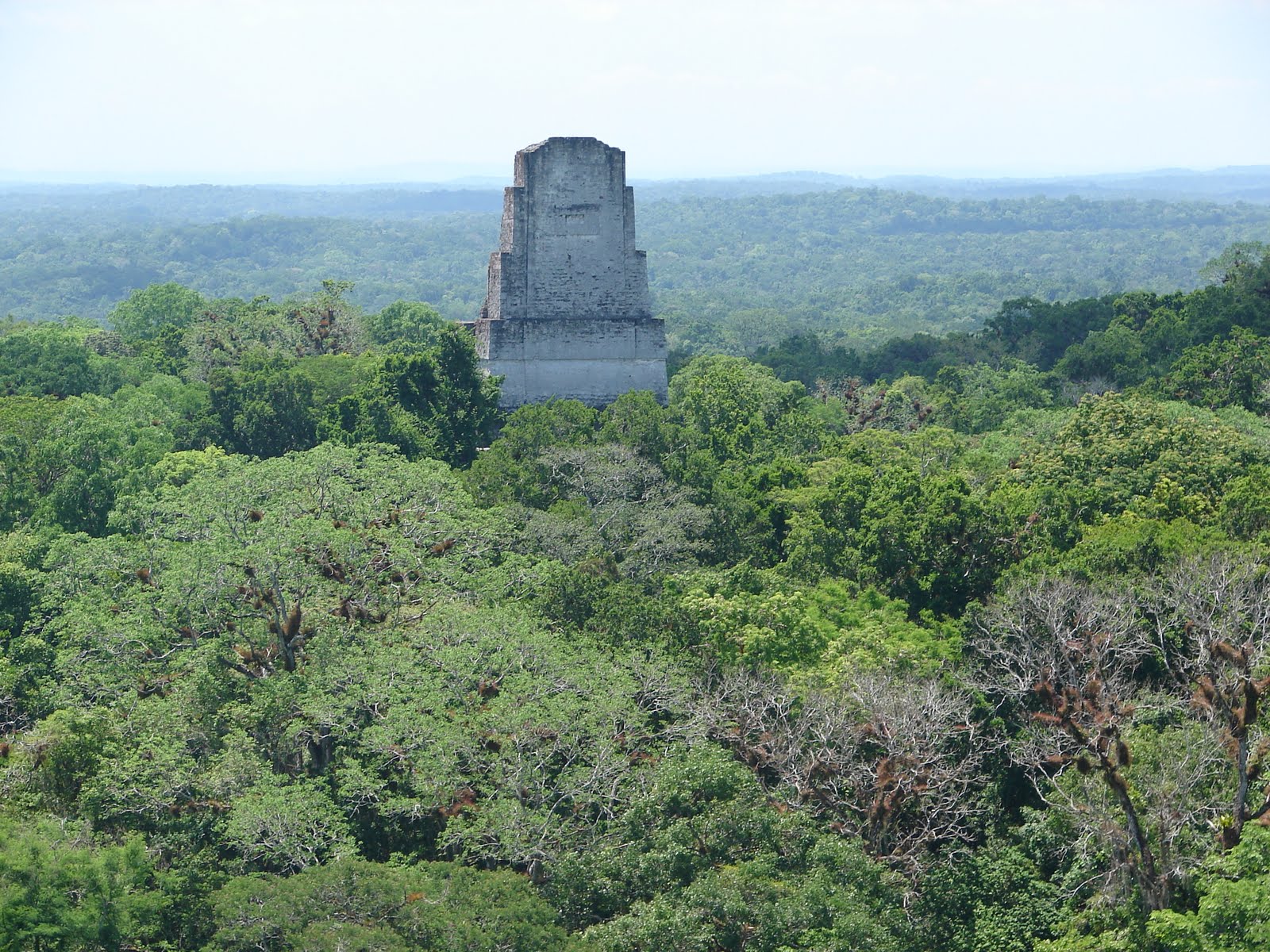WORLD TATTOO TRAVELER GUATEMALA, TIKAL