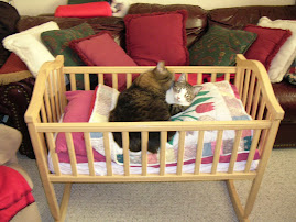 Cats In The Cradle