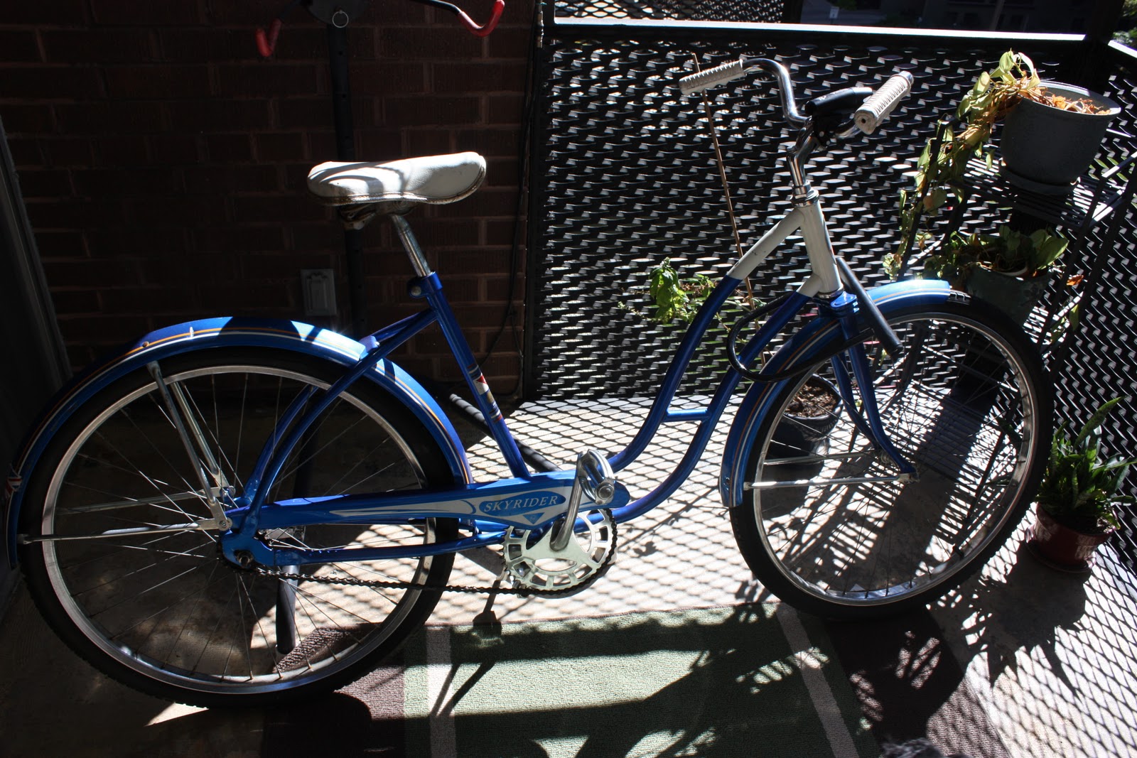 baby blue cruiser bike