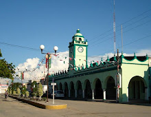 El Dzidzantunense