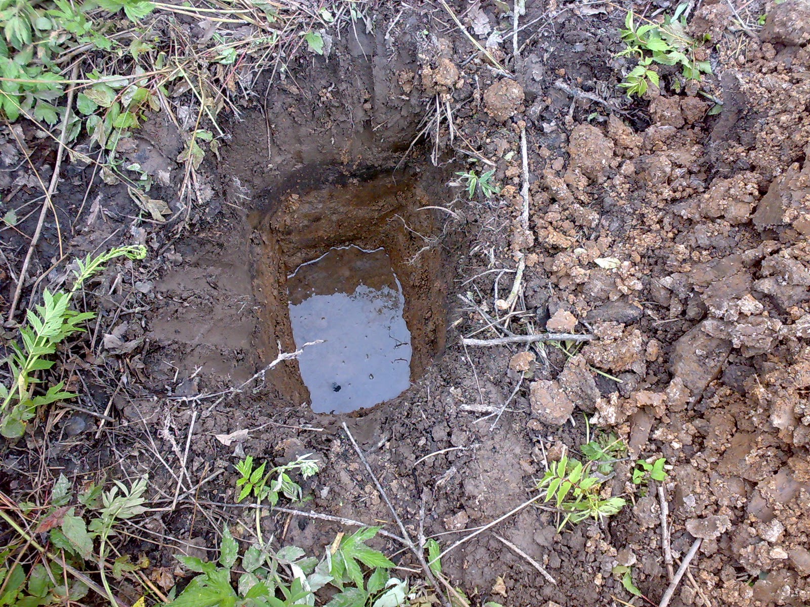 Впр родничок вырывается из земли. Яма с водой на участке. Выкапывание ямки в земле. Дренажная яма на участке. Дренаж на участке с глинистой почвой.