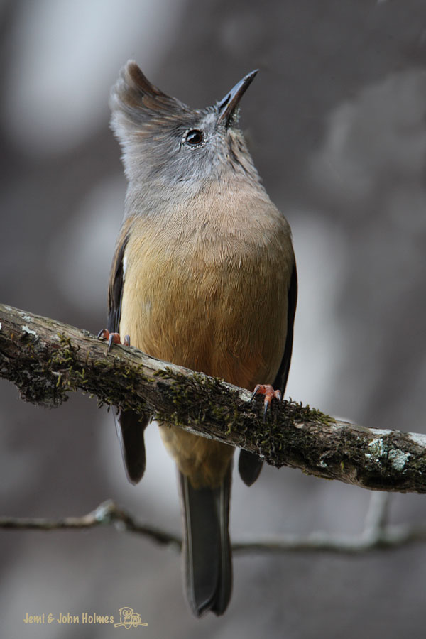 [Y09_STYuhina_CangShan-01.jpg]