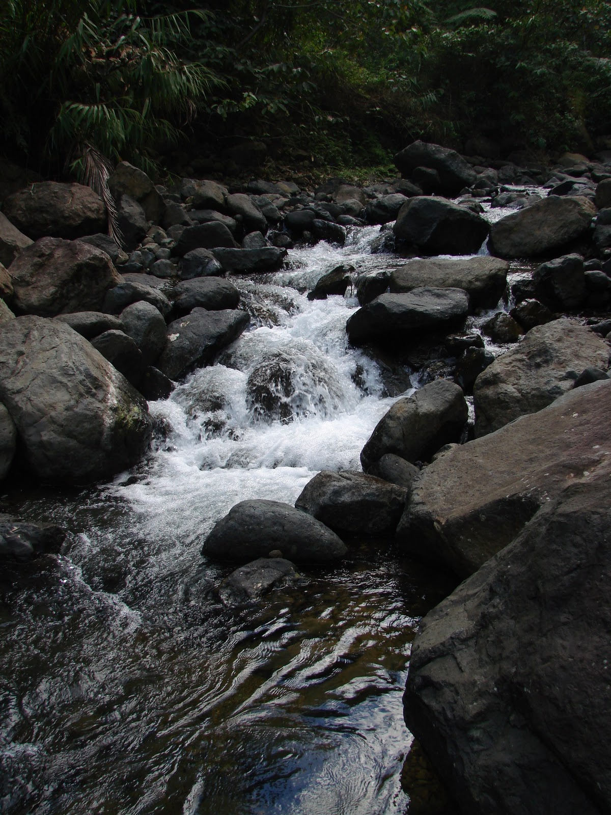 Interesting Facts About The Sierra Madre Mountains at Glenn Duffy blog