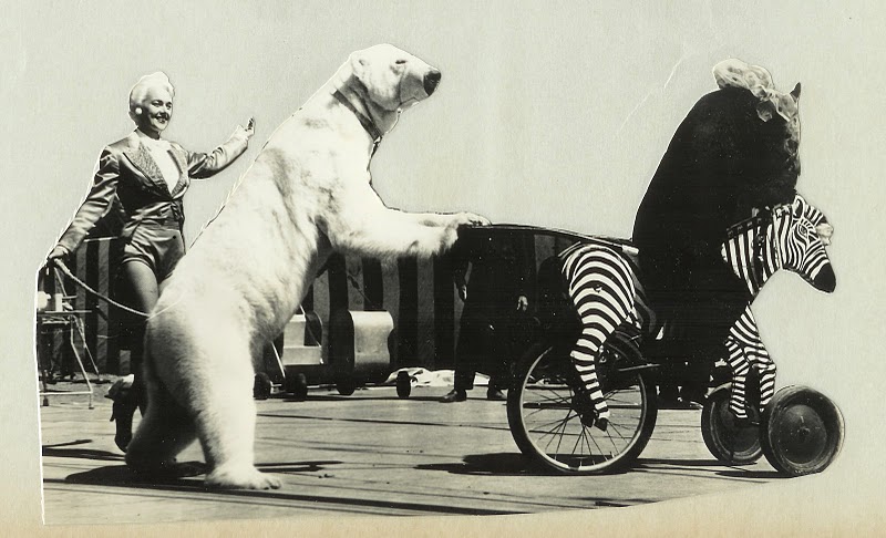 The Circus 