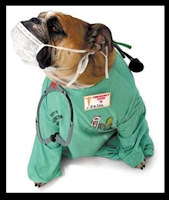 Perro+m%C3%A9dico+2.bmp