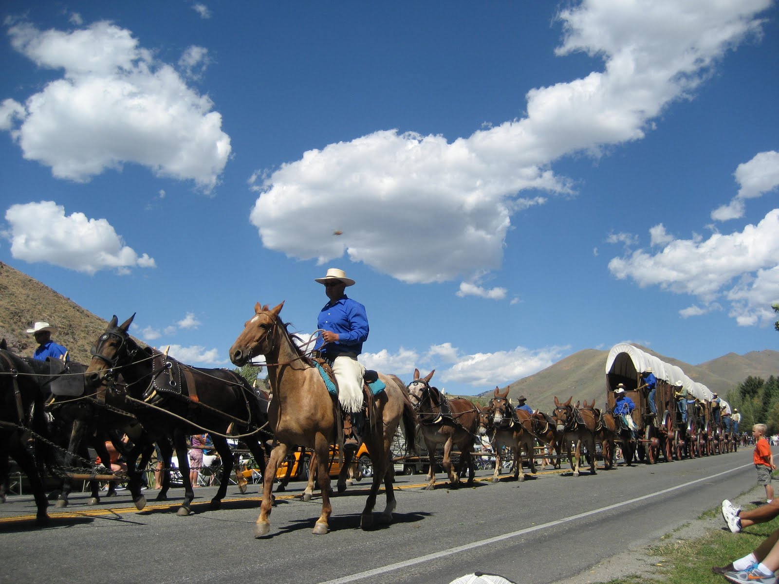 Rodeo Tales & Gypsy Trails Jerkline