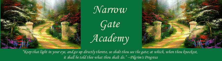 Through the Narrow Gate