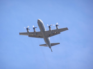 Lockheed P3K Orion, Royal New Zealand Air Force