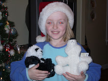 Hannah's favorite toy webkinz