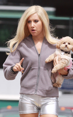 Shop Fairy Celebrity Pets Ashley Tisdale And Her