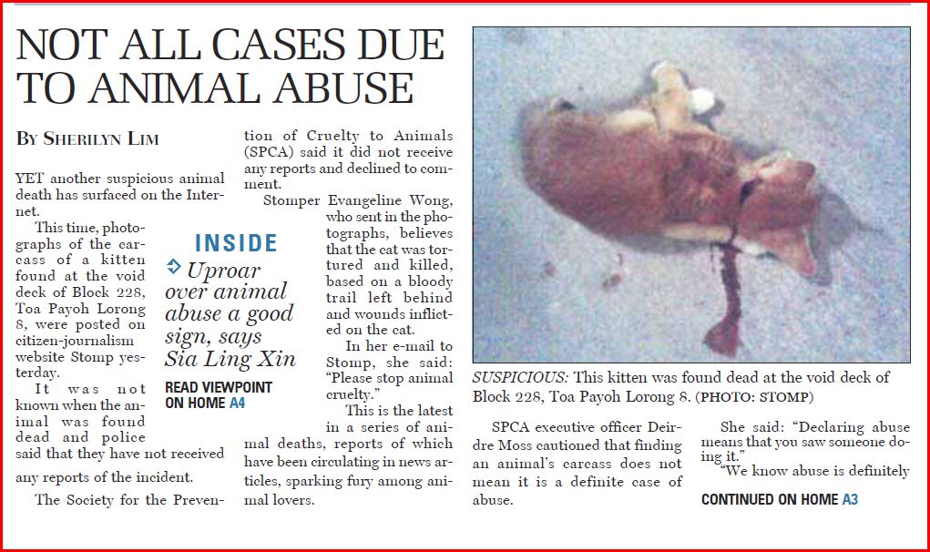 Singapore Community Cats: Uproar over animal abuse a good sign