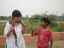 Snakes Alive