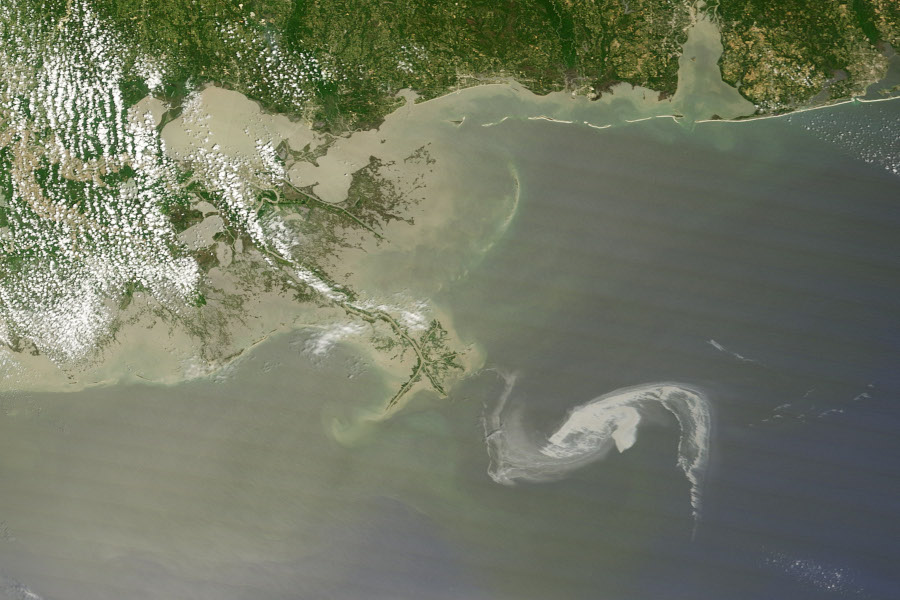 Dendroica Oil Slick Hits the Louisiana Coast