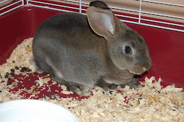 Thumper